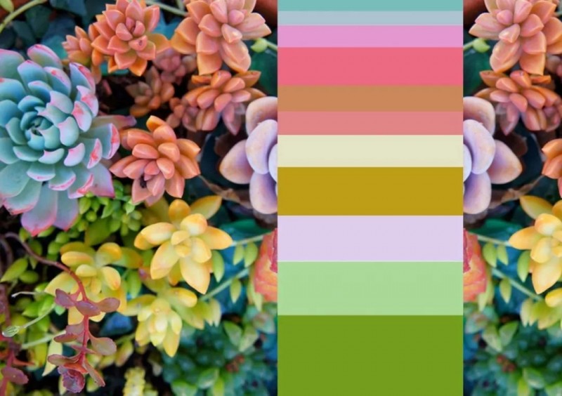 UV打印機(jī)五色打印效果原理(lǐ)及應用(yòng)